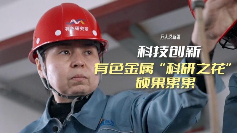 企业数据服务安装方案：揭秘高效部署的五大关键